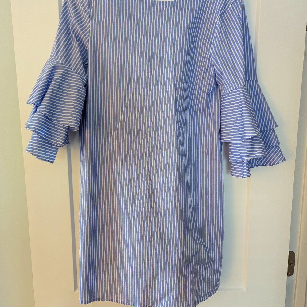 Zara Striped Dress with Ruffled Sleeves